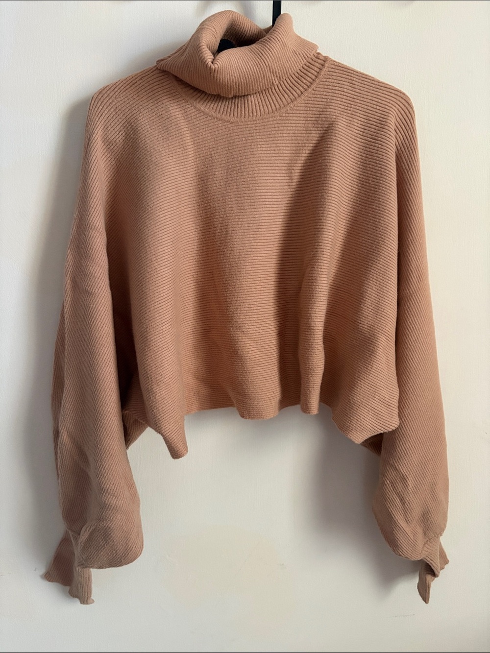 Forever 21 Cropped Ribbed Turtleneck Sweater in Tan